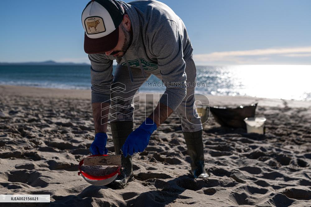 Pellet Cleaning Continues In Galician Sandbanks