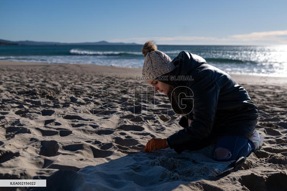 Pellet Cleaning Continues In Galician Sandbanks