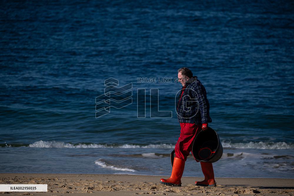 Pellet Cleaning Continues In Galician Sandbanks
