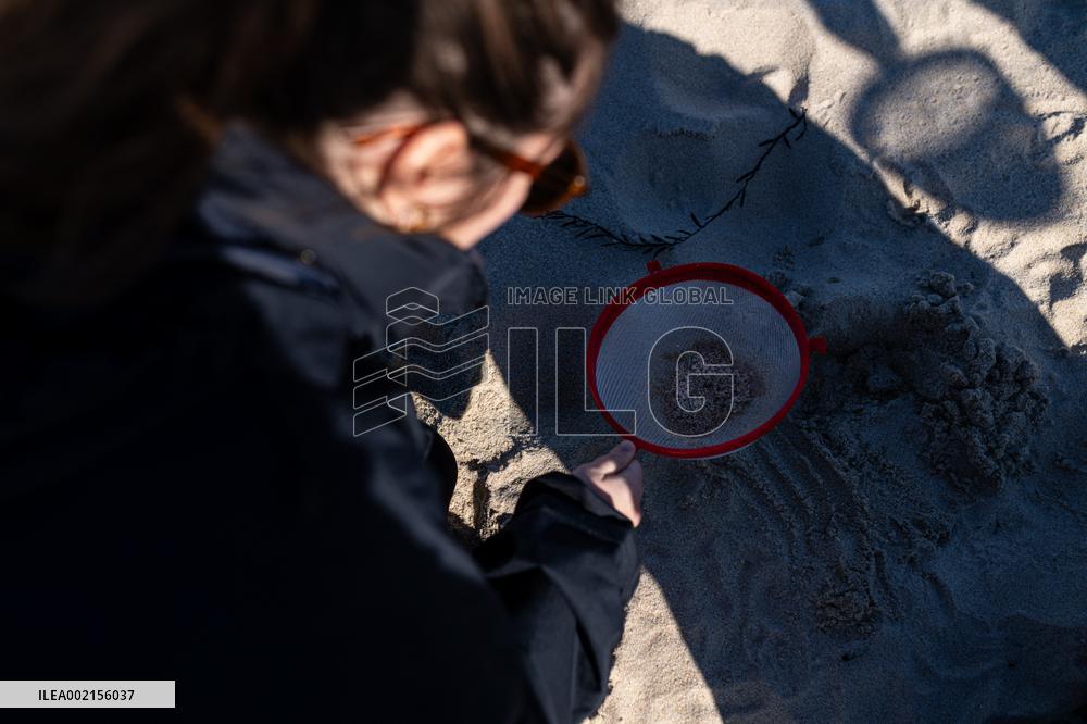 Pellet Cleaning Continues In Galician Sandbanks