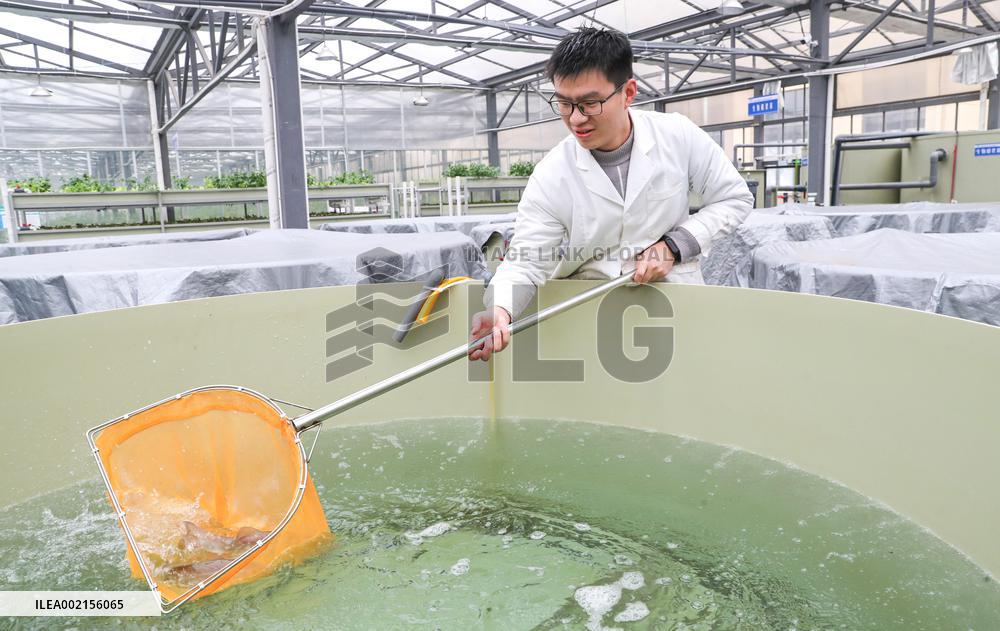 A Smart Agricultural Plant in Huzhou