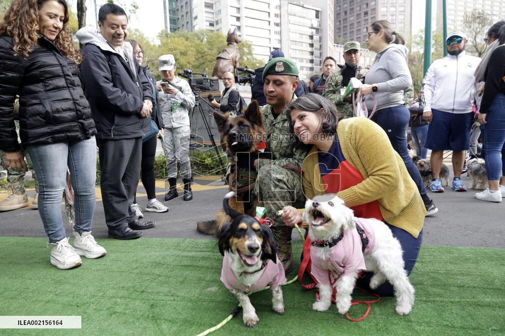 Ceremony of the Mexican Army Rescue Dog - Mexico