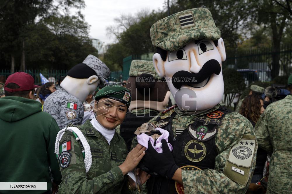 Ceremony of the Mexican Army Rescue Dog - Mexico