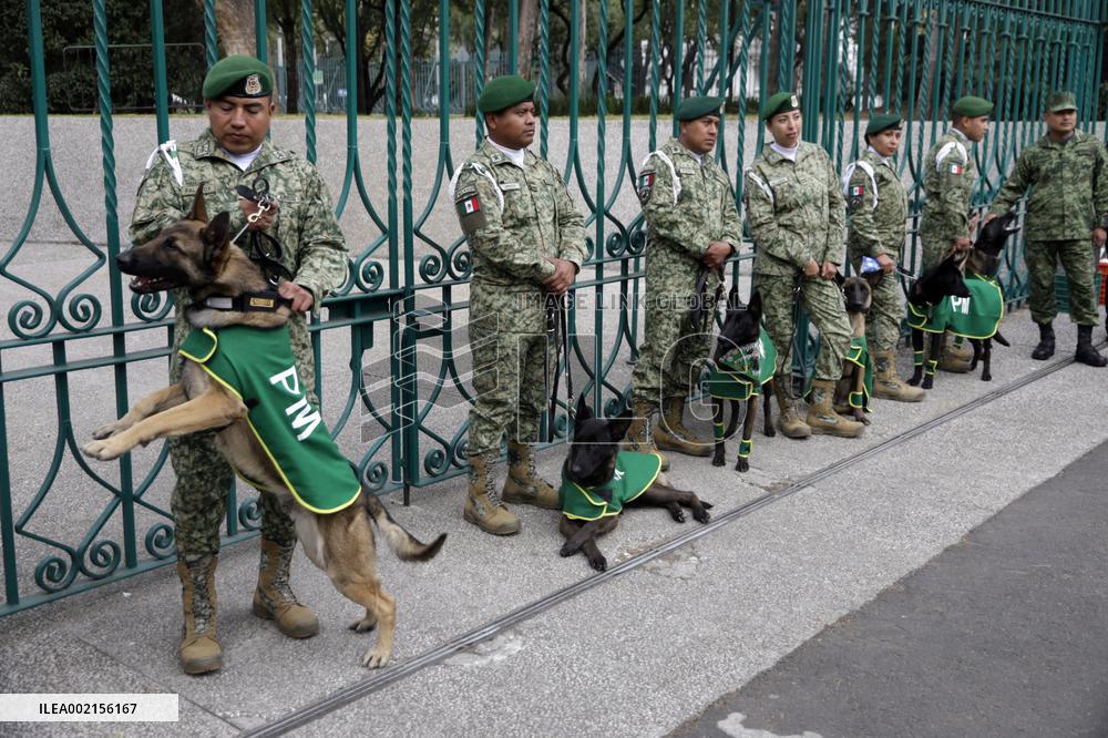 Ceremony of the Mexican Army Rescue Dog - Mexico