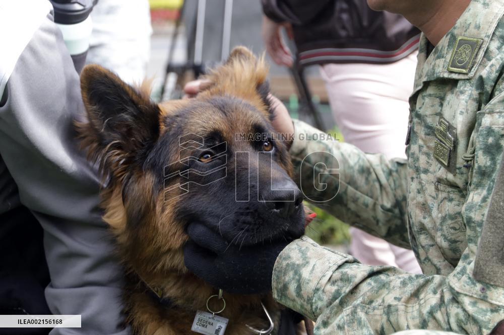 Ceremony of the Mexican Army Rescue Dog - Mexico