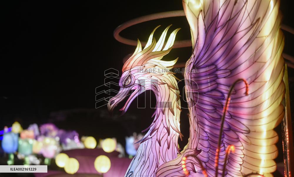 Lights & Dreams. Secrets of Lanterns Festival in Kyiv