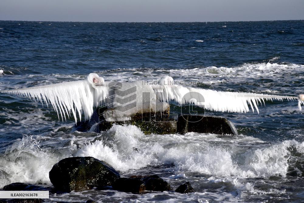 Black Sea coast in Odesa in winter
