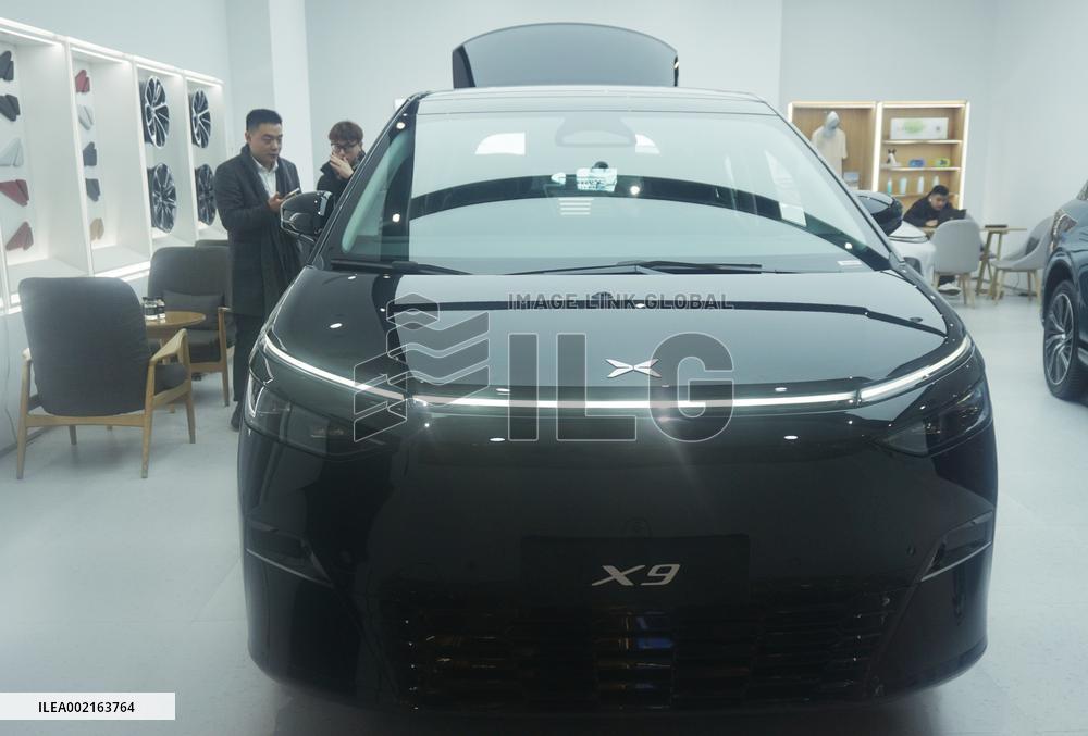China New Energy Vehicle Industry