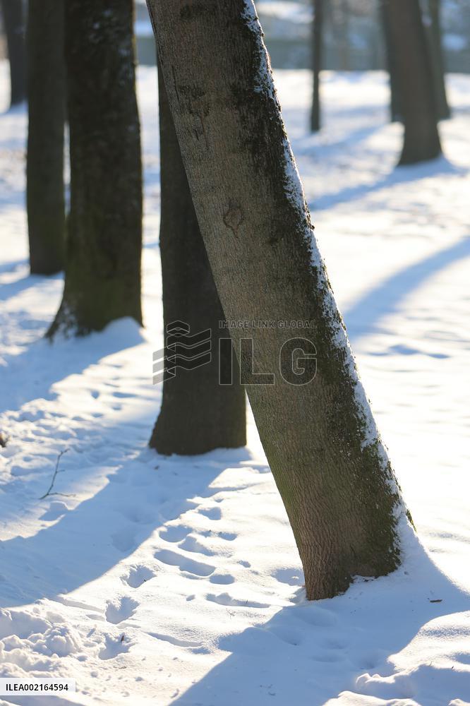 Winter in Ivano-Frankivsk