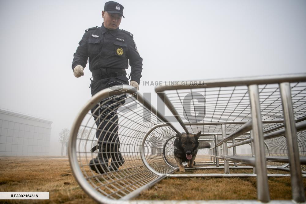 CHINA-HUBEI-HUANGSHI-POLICE DOG-TRAINING (CN)