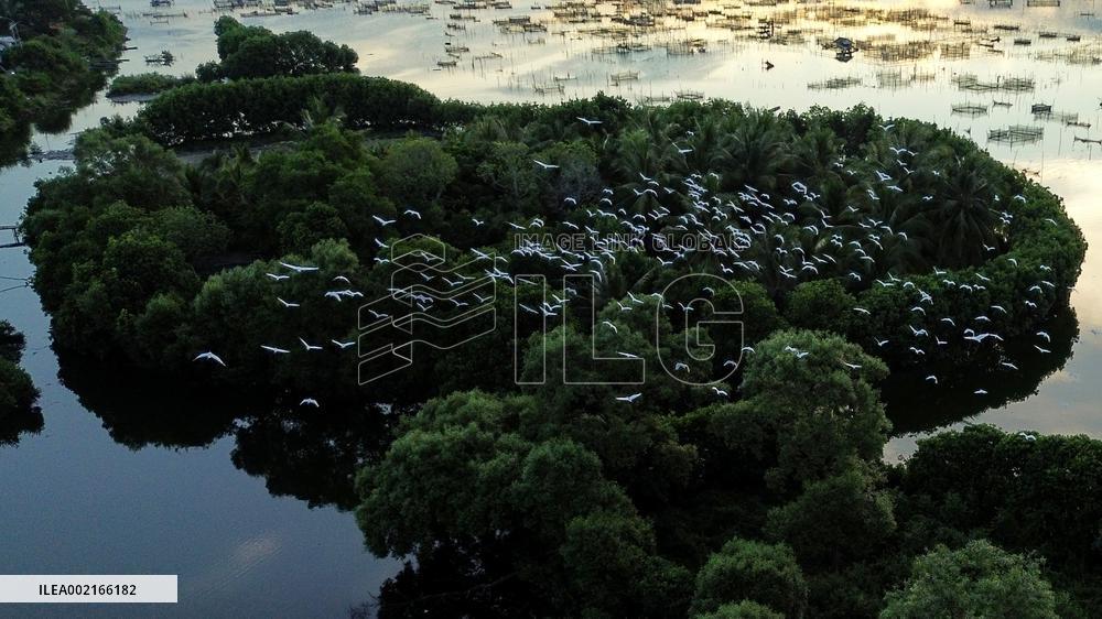 XINHUA PHOTOS OF THE DAY