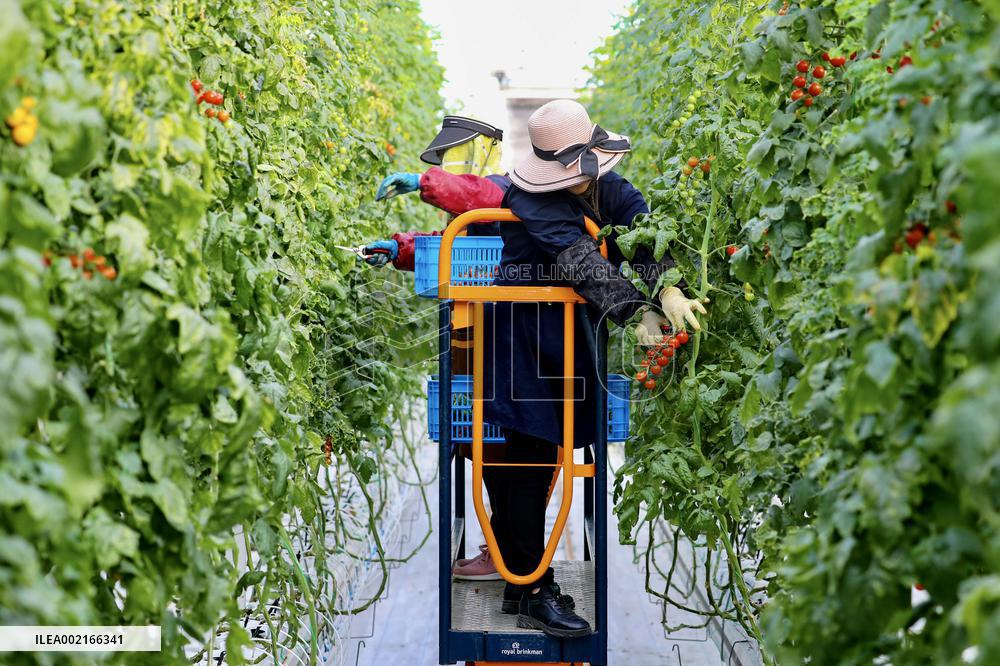 A Smart Farm in Kunshan
