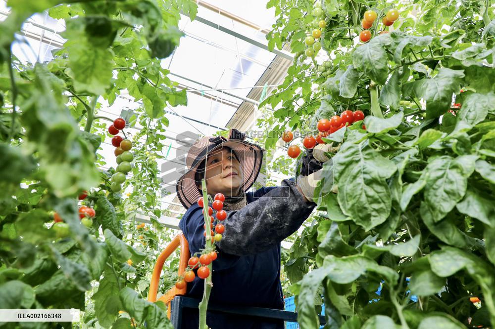 A Smart Farm in Kunshan