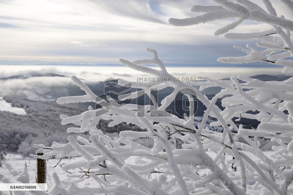 Vosges Massif Under The Snow In Winter - France