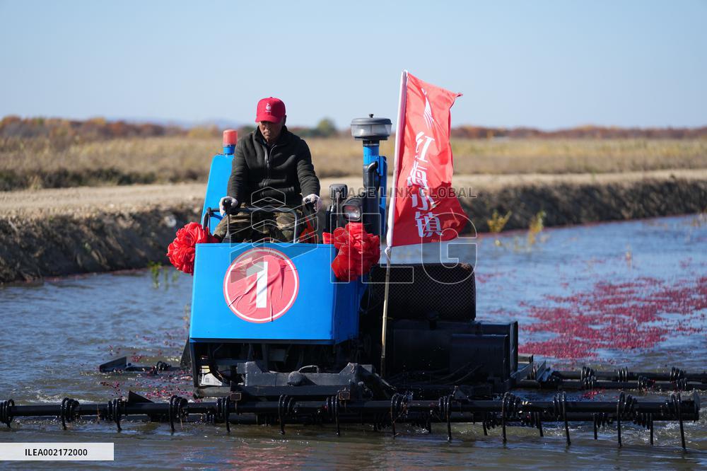 CHINA-HEILONGJIANG-GUANGXI-TOURISM-CULTURE-EXCHANGE (CN)