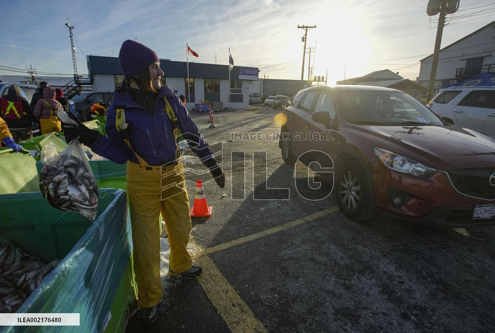 CANADA-RICHMOND-HERRING SALE