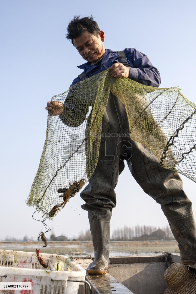CHINA-HUNAN-NANXIAN-CRAYFISH-HARVEST (CN)