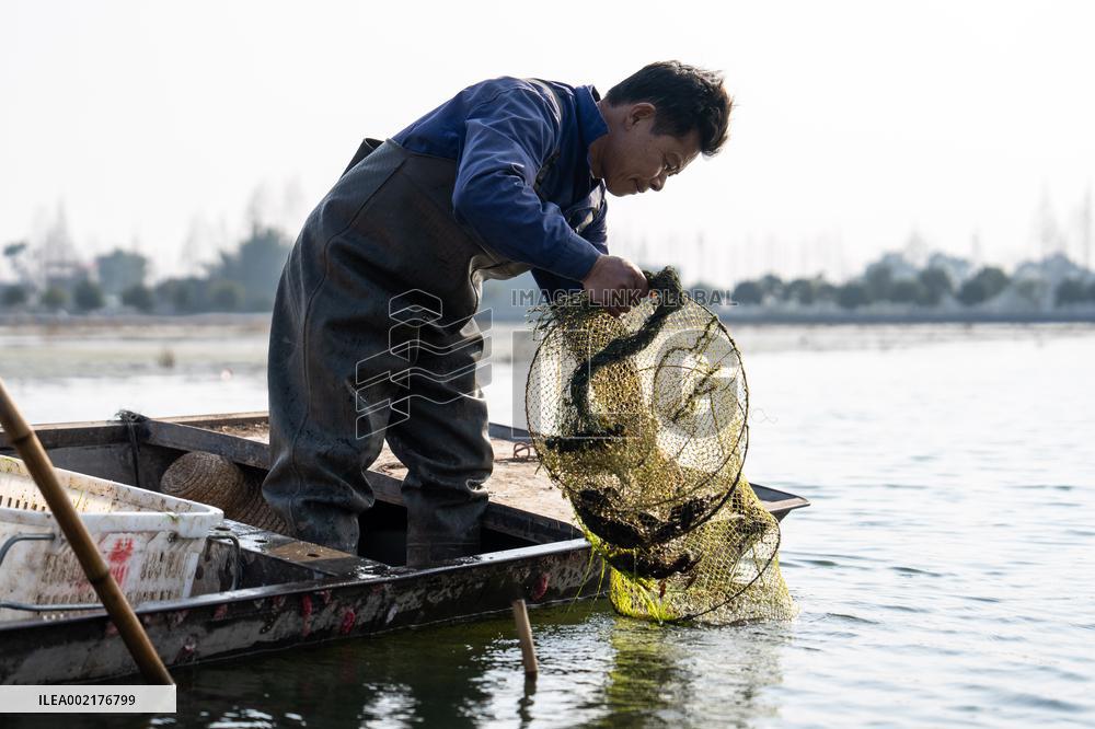 CHINA-HUNAN-NANXIAN-CRAYFISH-HARVEST (CN)