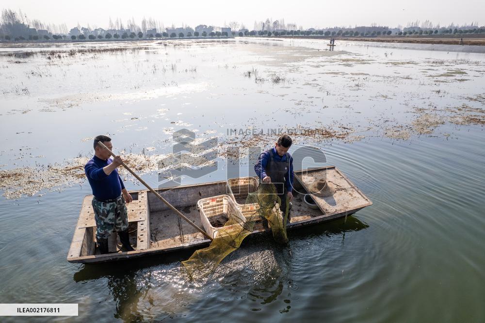 CHINA-HUNAN-NANXIAN-CRAYFISH-HARVEST (CN)