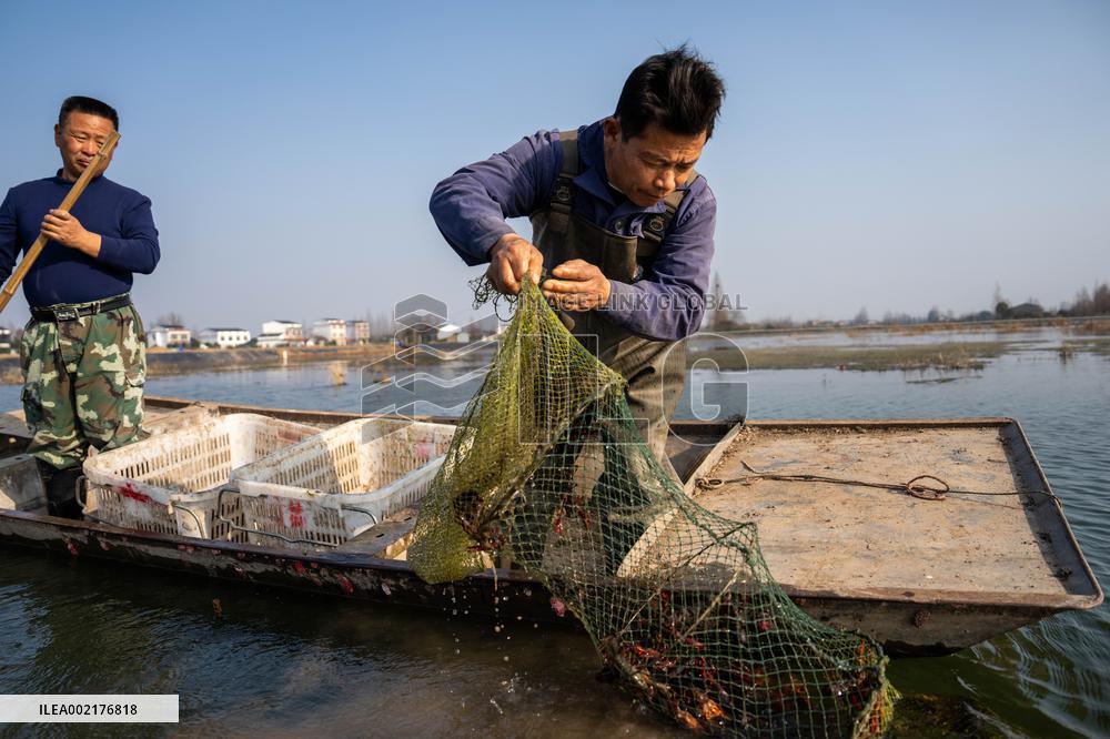 CHINA-HUNAN-NANXIAN-CRAYFISH-HARVEST (CN)