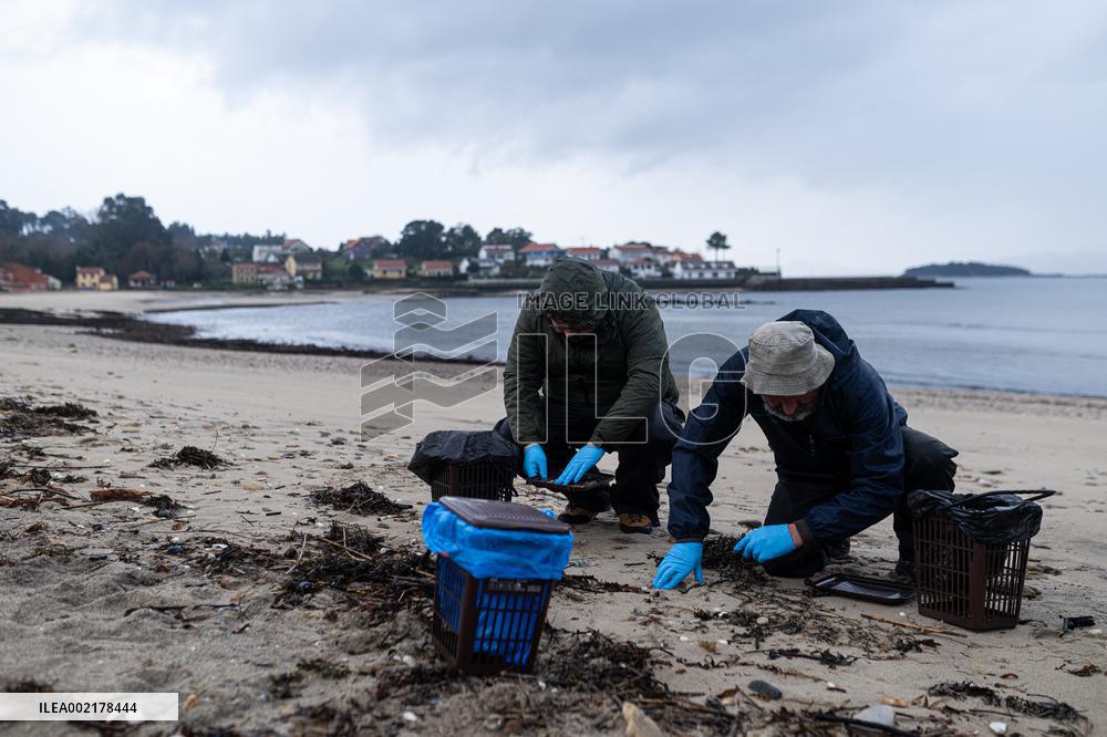 Plastic Pellets Polluting Spanish Beaches After Container Ship Spill