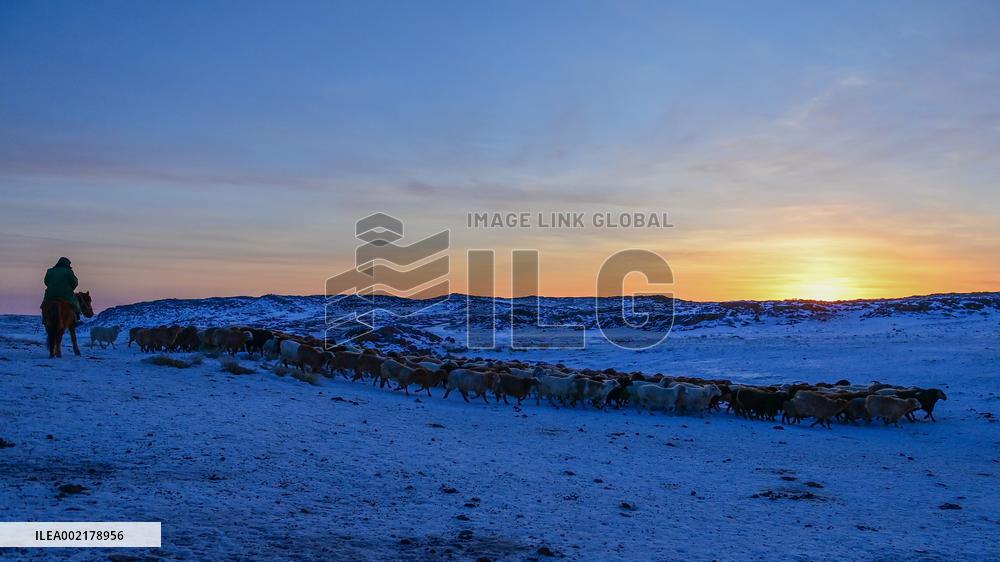 CHINA-XINJIANG-EMIN-SERVICE STATION (CN)