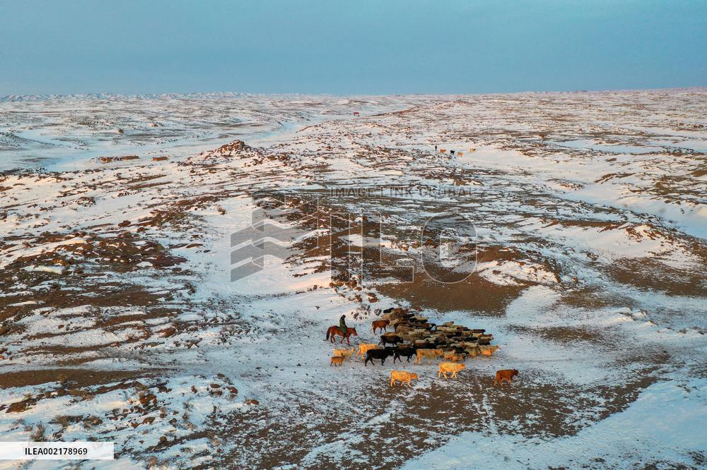 CHINA-XINJIANG-EMIN-SERVICE STATION (CN)