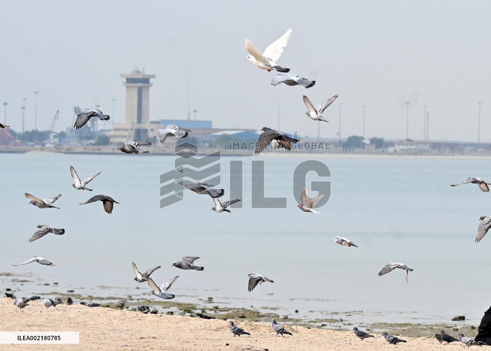 KUWAIT-KUWAIT CITY-SEASIDE-DAILY LIFE
