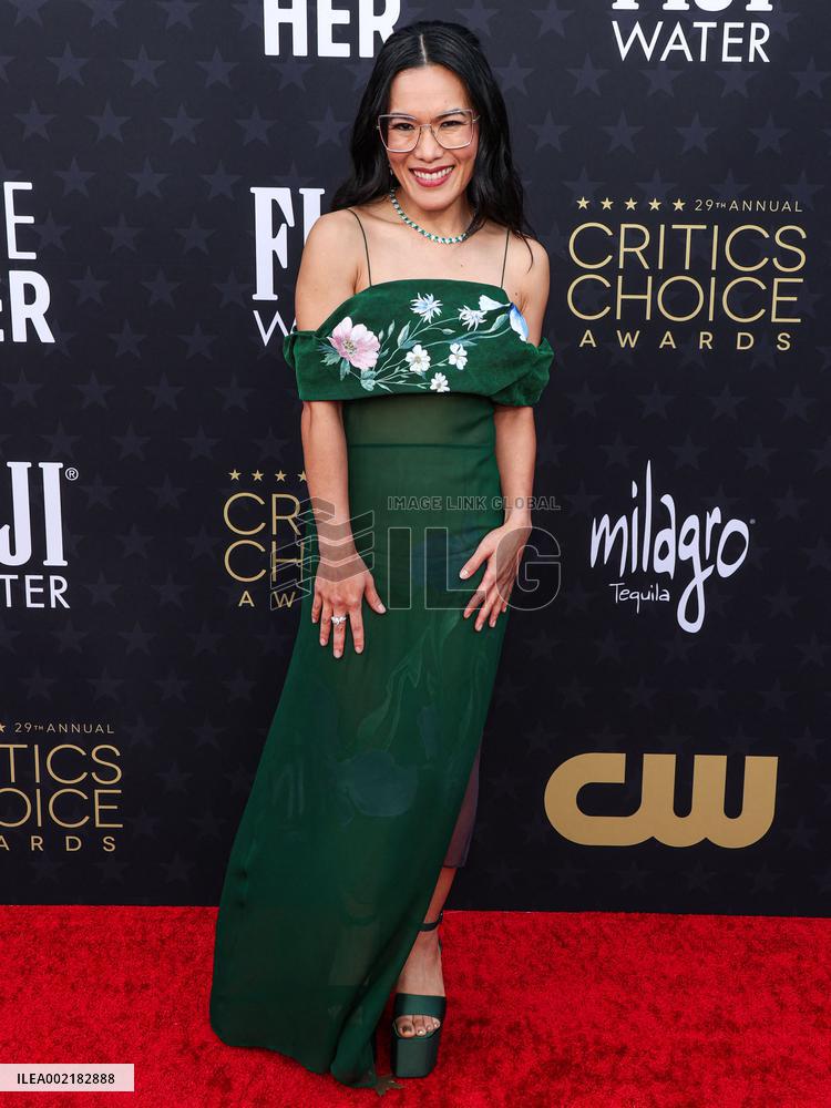 29th Annual Critics' Choice Awards Arrivals - LA