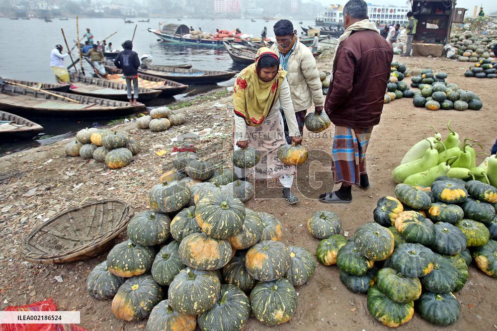 Farmers Bring Pumpkins To The Market - Dhaka