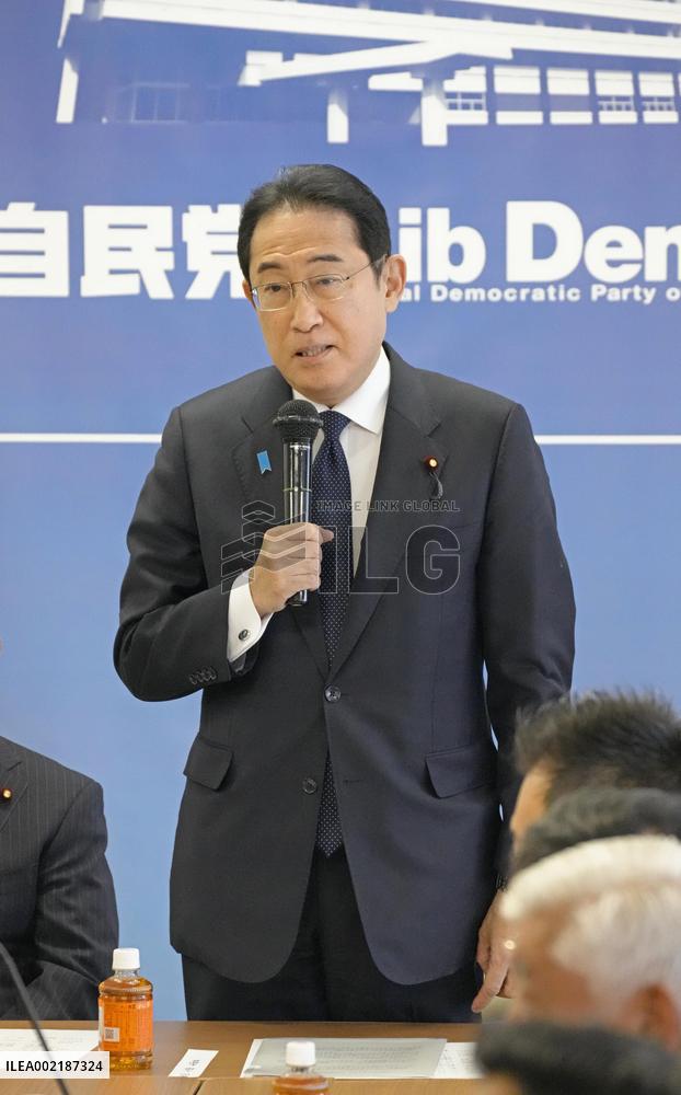 Japan ruling party's political reform panel