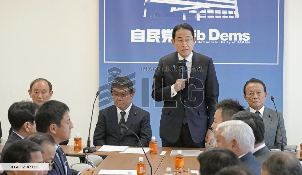 Japan ruling party's political reform panel