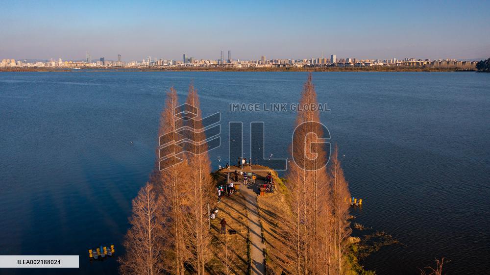 CHINA-YUNNAN-KUNMING-DIANCHI LAKE-WATER QUALITY (CN)