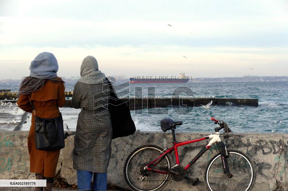 Ukraines grain corridor in Black Sea reaches pre-war capacity