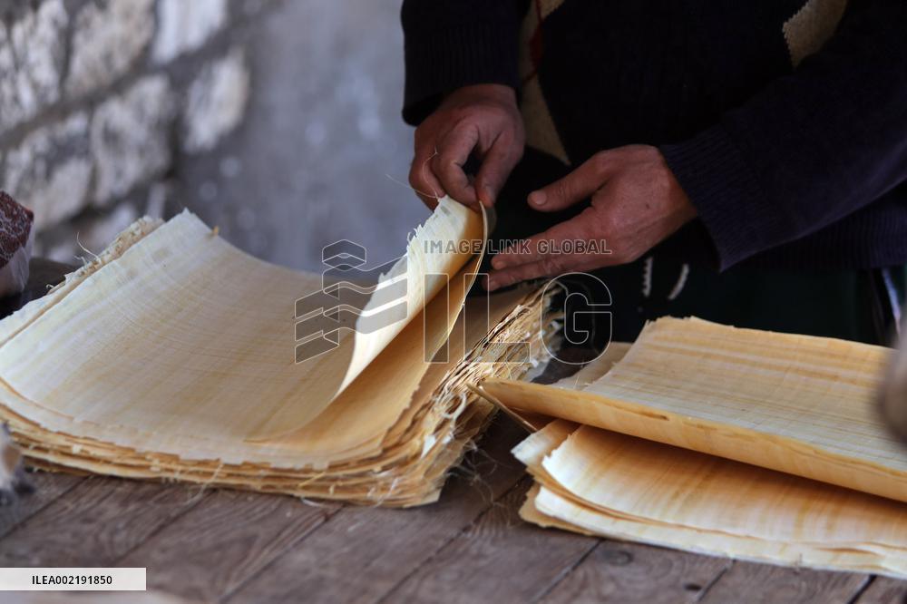 EGYPT-SHARQIYA-QARAMOS-PAPYRUS PAPER-HANDMAKING