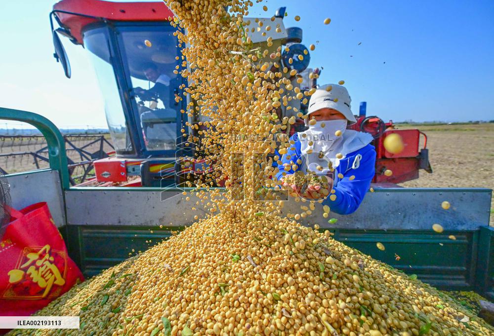 Xinhua Headlines: Chinese economy beats growth target with GDP reaching record high