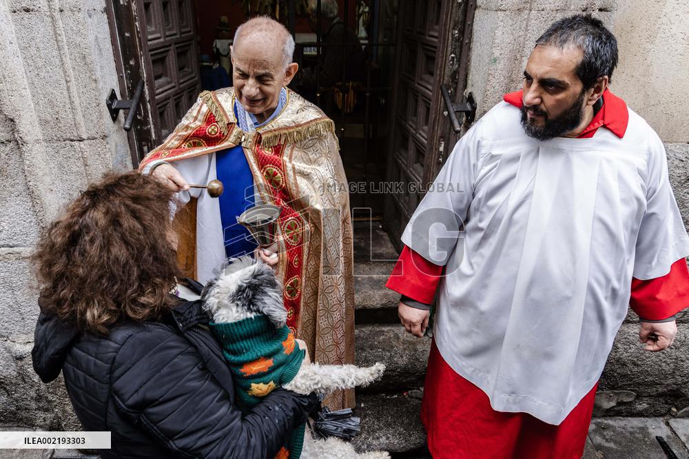 Blessing Of Pets - Madrid
