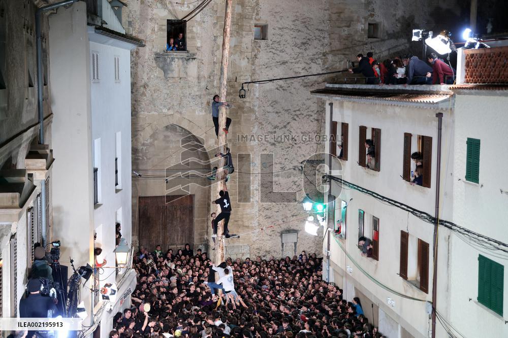 Coronation Of A Pine Tree In Pollenca - Mallorca