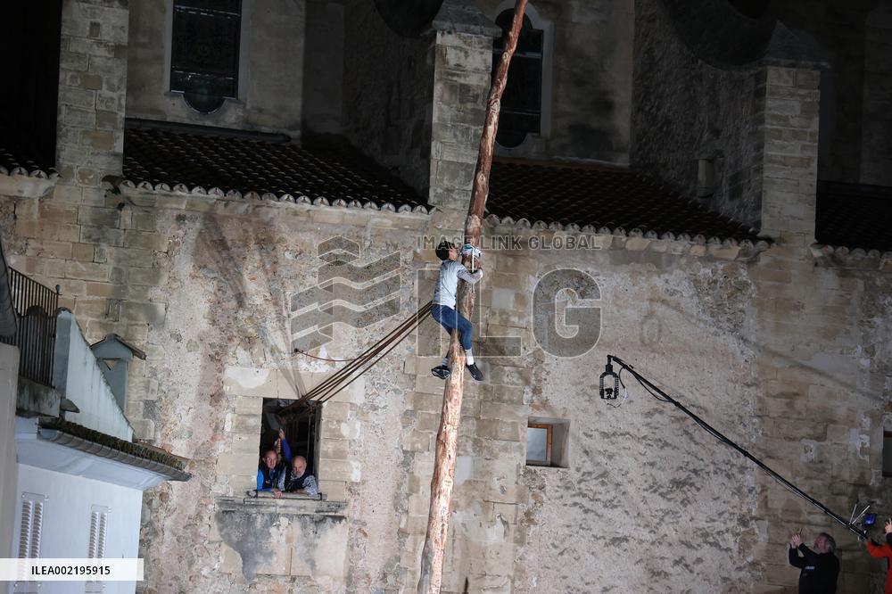 Coronation Of A Pine Tree In Pollenca - Mallorca