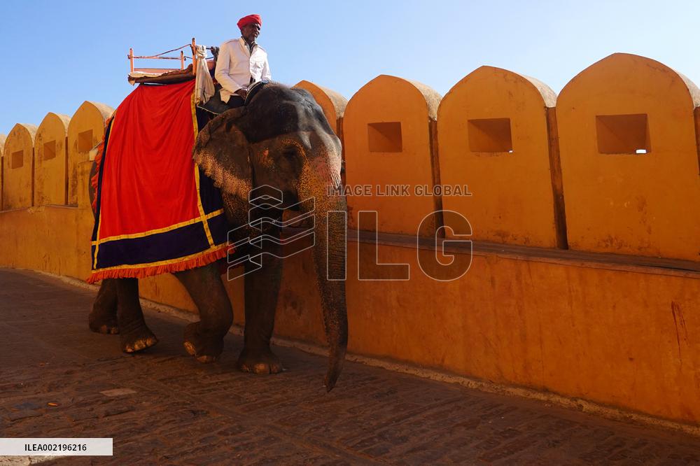 Elephant Ride At Historic Amer Fort - India