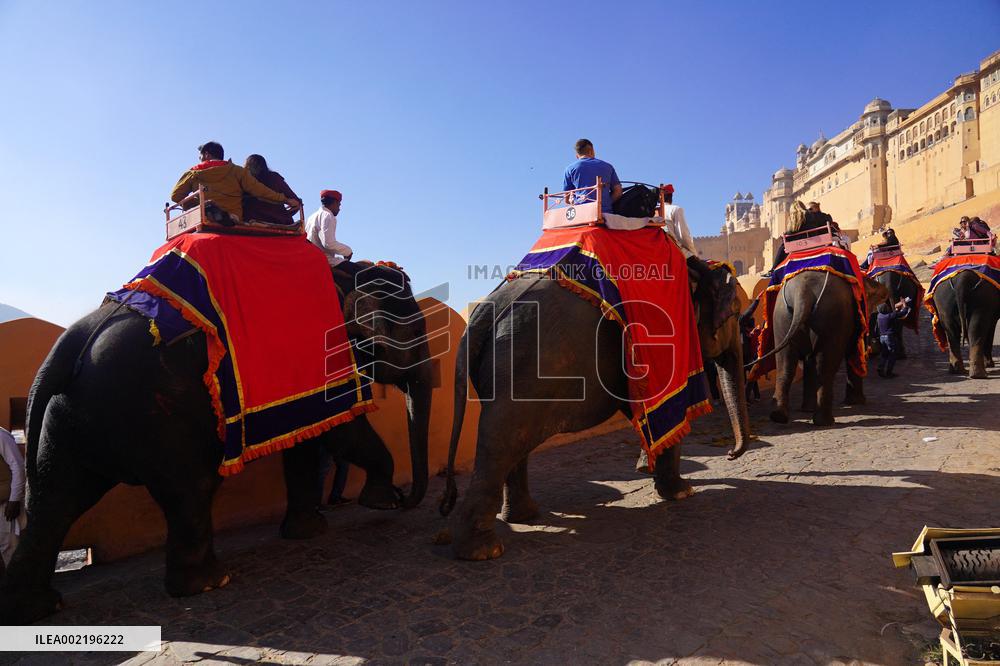 Elephant Ride At Historic Amer Fort - India