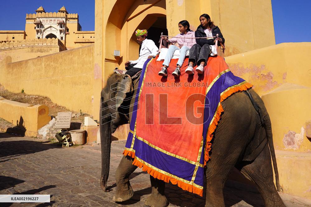 Elephant Ride At Historic Amer Fort - India