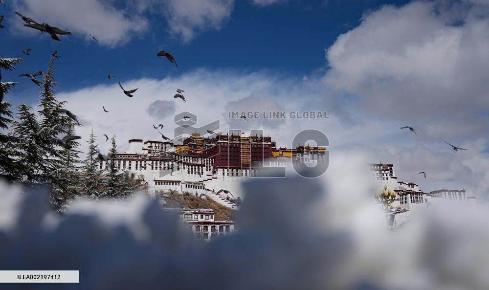 (InTibet) CHINA-XIZANG-LHASA-SNOW (CN)