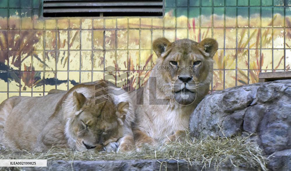 Kyiv Zoo
