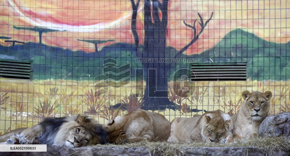 Kyiv Zoo