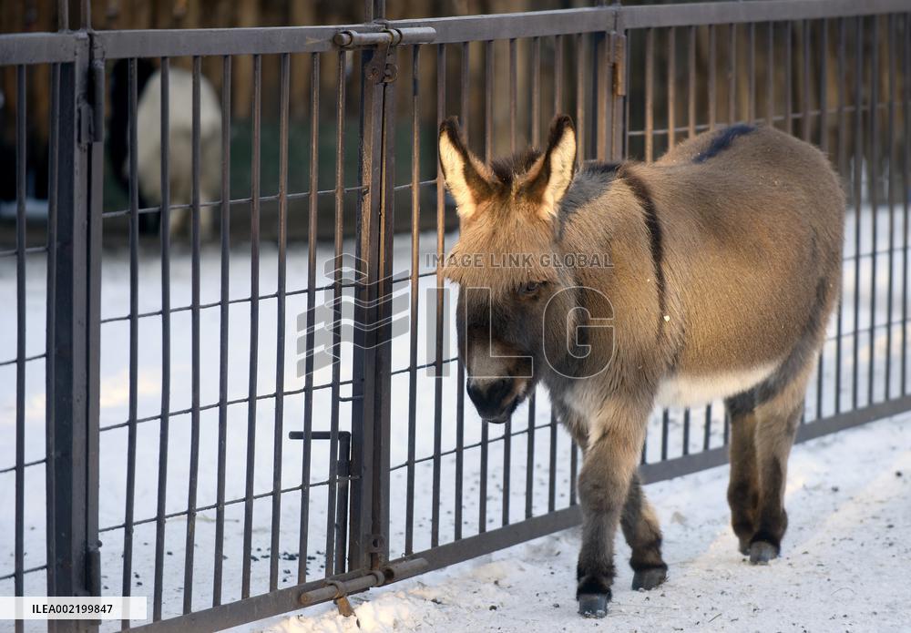 Kyiv Zoo