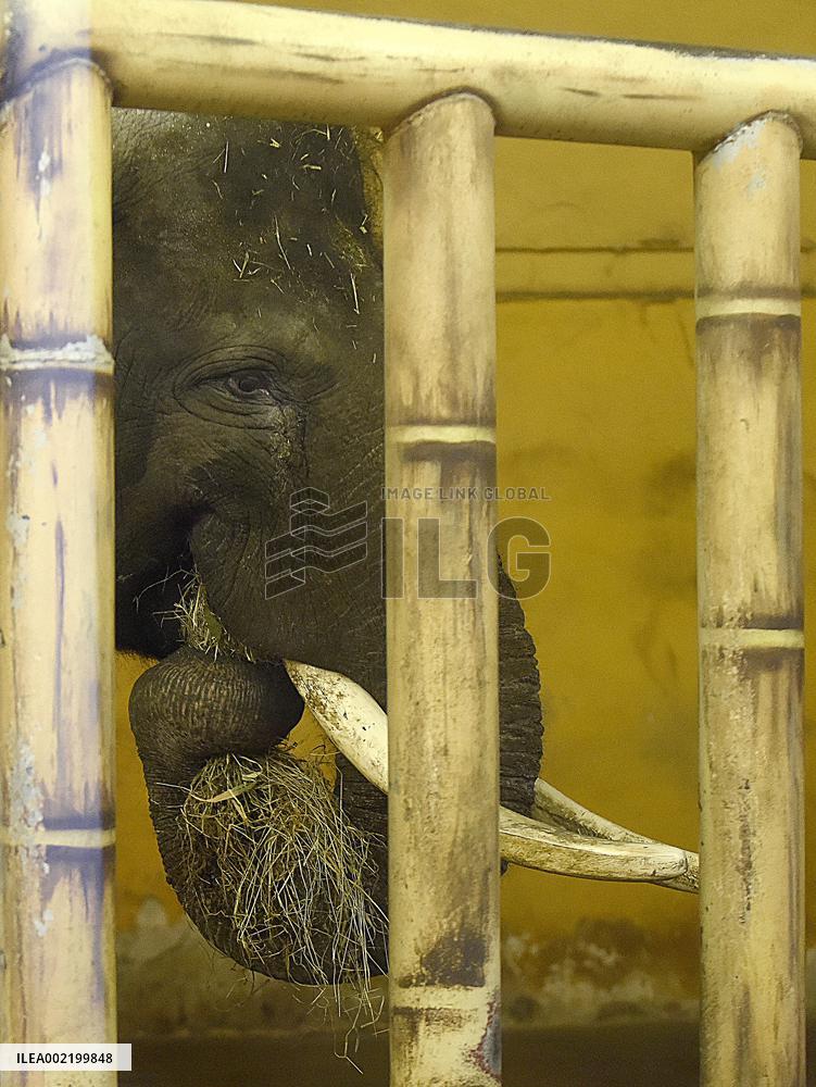 Kyiv Zoo