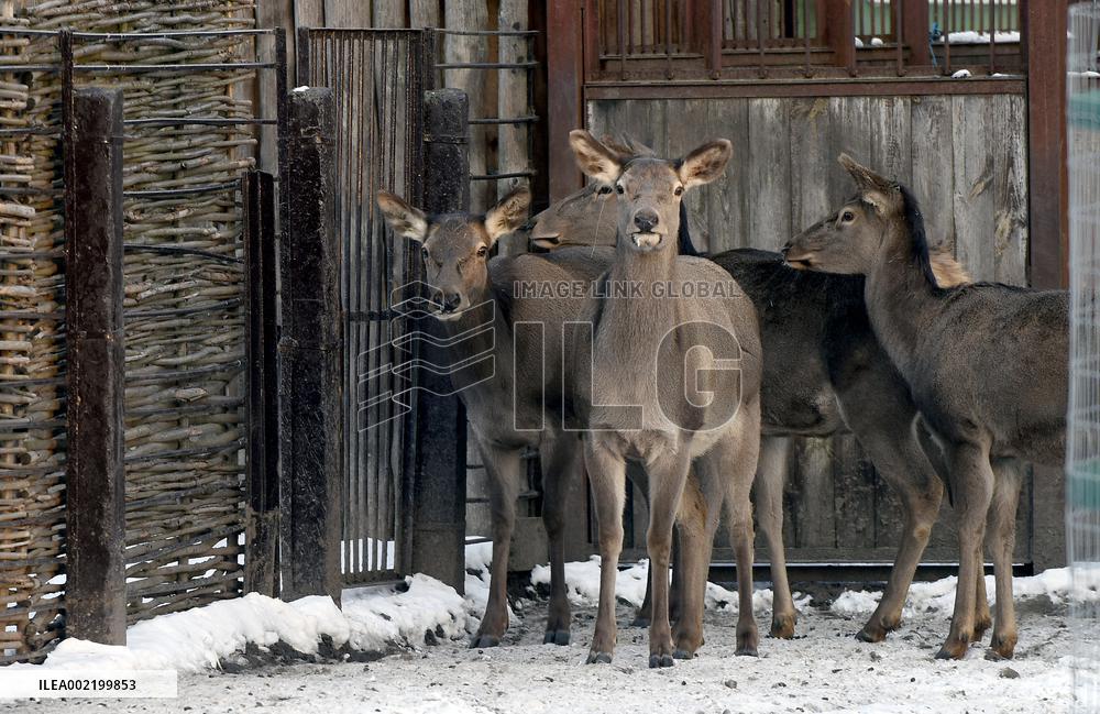 Kyiv Zoo