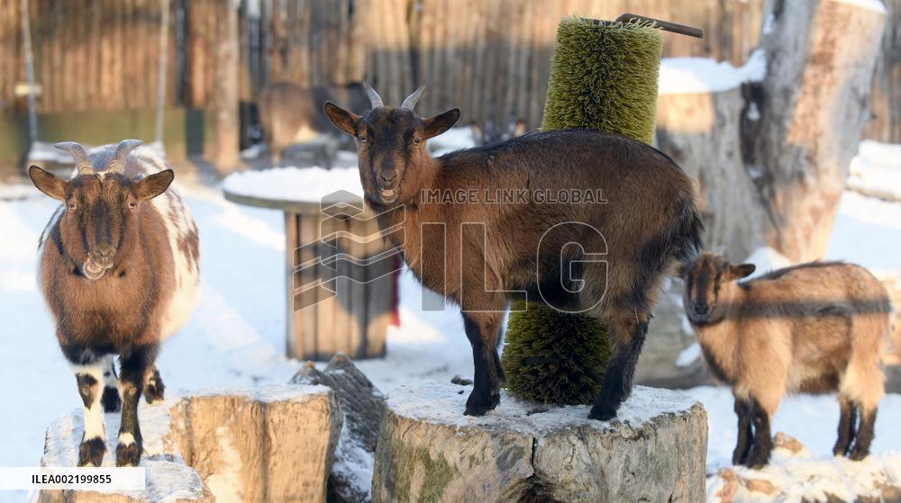 Kyiv Zoo