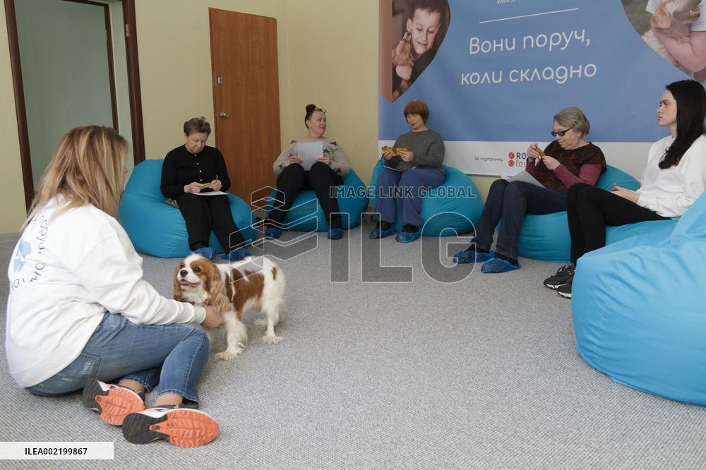 First dog-assisted therapy center opens in Kyiv